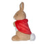 Flopsy Bunny