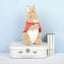 Flopsy Bunny