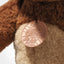 2025 Steiff Club Edition Teddy Bear - Exclusive to members