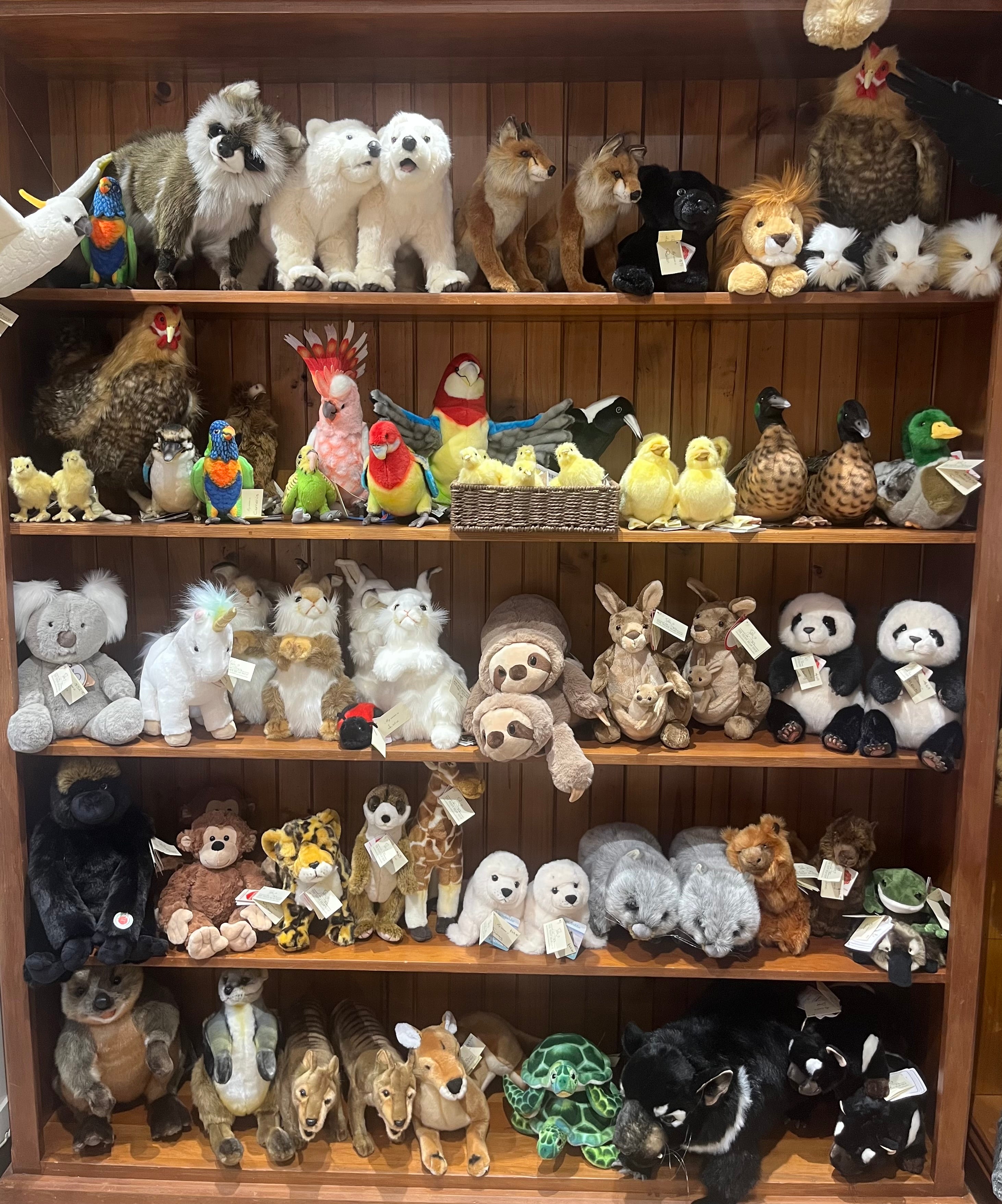 Soft Toy Animal Collection – Plush Pets & Wild Animals | The Teddy Bear ...
