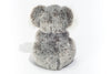 Chewy | Koala
