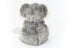 Chewy | Koala