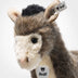 Wesley | Donkey