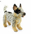 Margot | Blue Heeler Standing