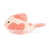 Fancy Carp