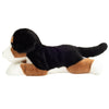 Moose | Bernese Mountain Dog