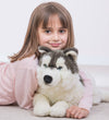 Storm | Husky