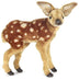 Pippa | Fawn