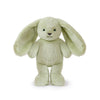 Clover Cottontail | Bunny