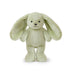Clover Cottontail | Bunny