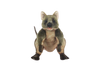 Pickle | Quokka