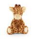 Jasper | Giraffe