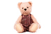Teddy Finn | Limited Edition