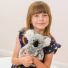 Chewy | Koala