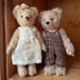 Teddy Alena | Limited Edition