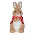Flopsy Bunny