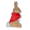 Flopsy Bunny