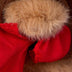 Benjamin Bunny