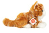 Bella | Red Tabby Cat
