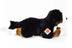 Bernie | Bernese Mountain Dog