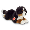 Bernie | Bernese Mountain Dog