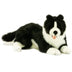 Starsky | Border Collie