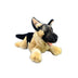 Boss | German Shepherd puppy