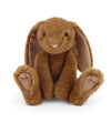 Rocks | Brown Bunny