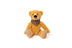Teddy Bruno