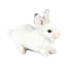 Winnie | Bunny