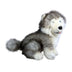 Button |  Siberian Husky