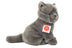 Walker | Carthusian cat