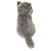Walker | Carthusian cat