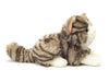 Oliver | Cat