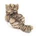 Oliver | Cat