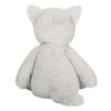 Trixi | Cat
