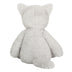Trixi | Cat