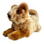 Flame | Cattle Dog