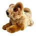 Flame | Cattle Dog