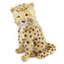 Zara | Cheetah Cub