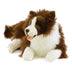 Fudge | Large Chocolate Border Collie