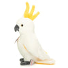 Bingo | Cockatoo