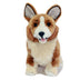 Windsor Corgi