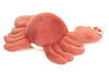Colin | Crab