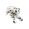 Denzel | Large Dalmation