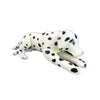 Denzel | Large Dalmation