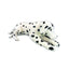 Denzel | Large Dalmation