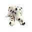 Denzel | Large Dalmation