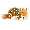 Dotti | Quoll