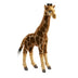 Raya | Giraffe